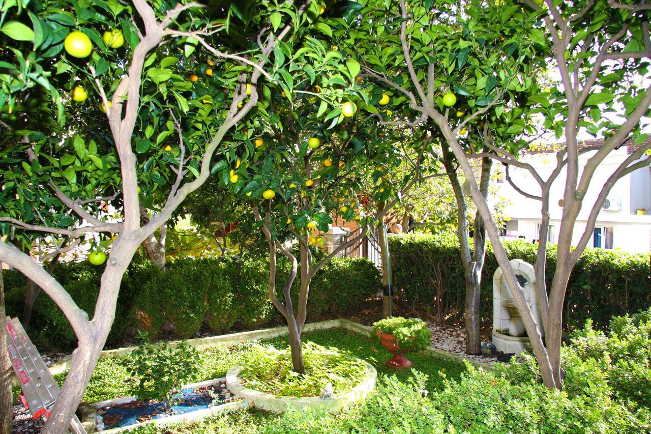 Mm Kovacevic Apartments Petrovac Bagian luar foto